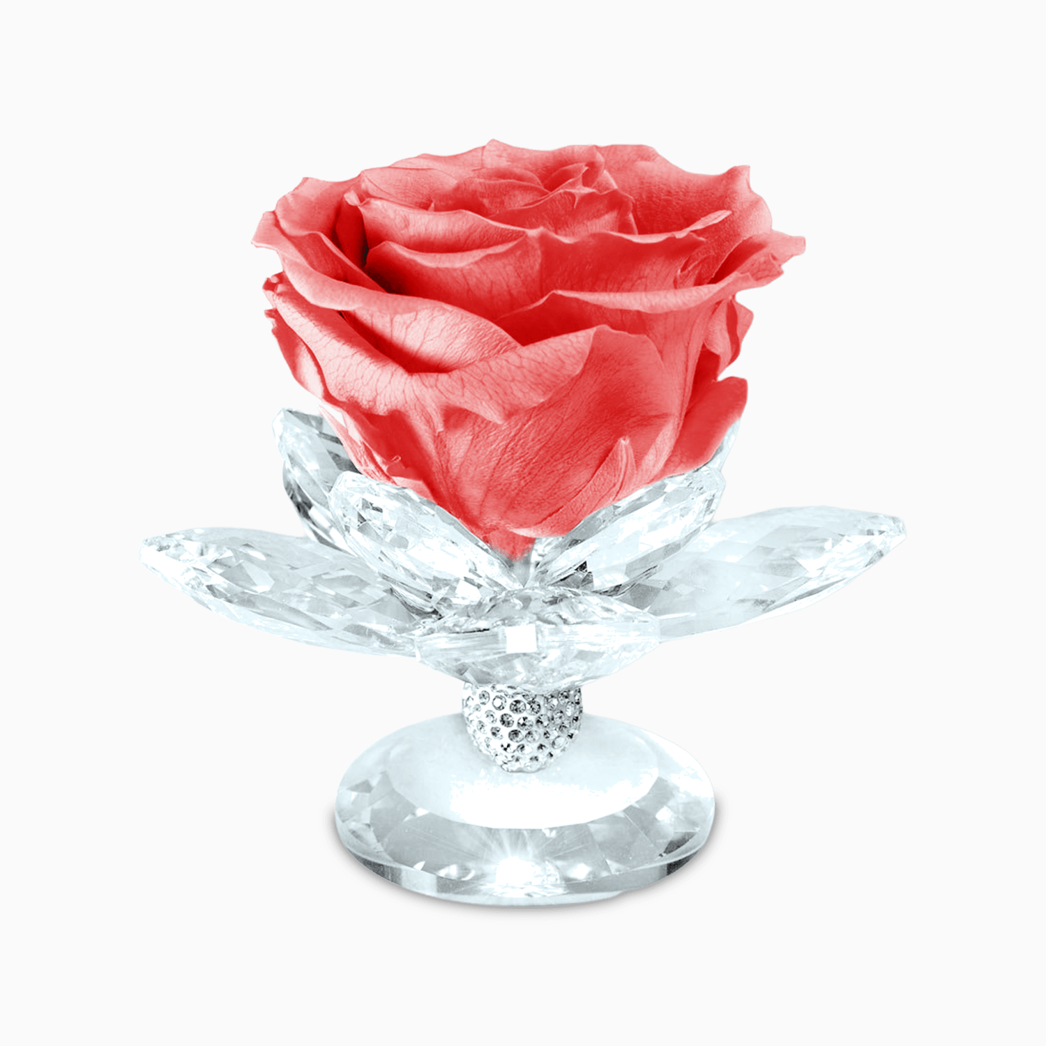 Bomboniera Rosa Stabilizzata su Alzatina Ninfea in Cristal per Comunione, Matrimonio, Anniversario